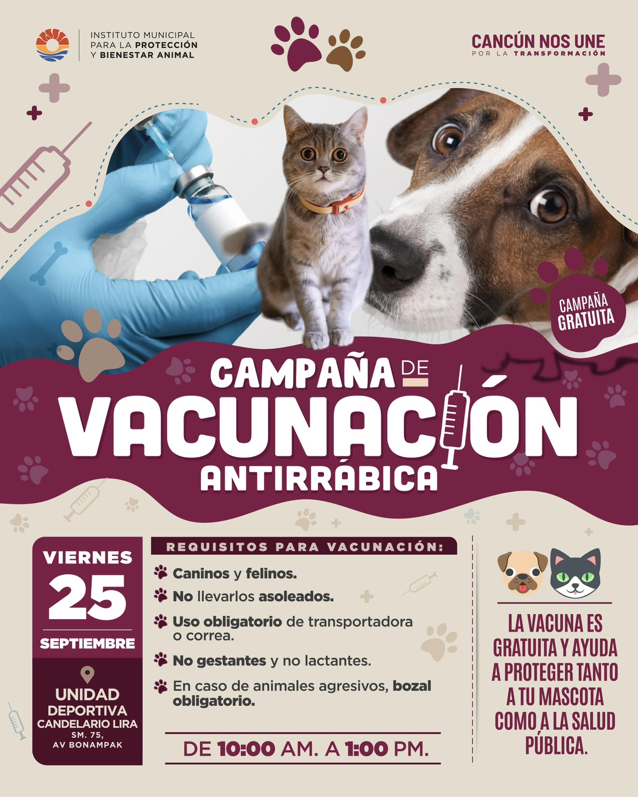 uploads/noticias/0/Cartel (4).jpeg
